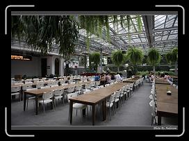 IMG_9216 * 900 x 644 * (285KB)