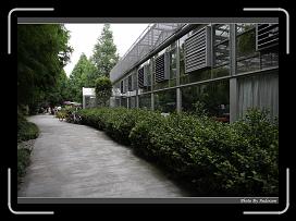 IMG_9219 * 900 x 644 * (280KB)