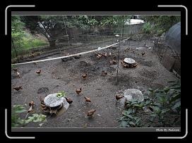IMG_9220 * 900 x 644 * (295KB)