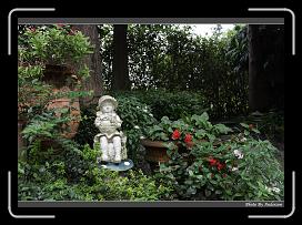 IMG_9227 * 900 x 644 * (295KB)