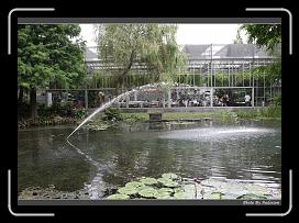 IMG_9229 * 900 x 644 * (292KB)