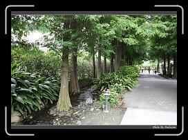 IMG_9234 * 900 x 644 * (295KB)