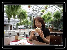IMG_9237 * 900 x 644 * (294KB)