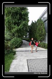 IMG_9255 * 600 x 966 * (287KB)