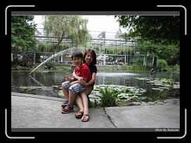 IMG_9291 * 900 x 644 * (292KB)