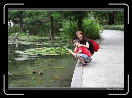 IMG_9319 * 900 x 644 * (294KB)