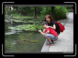 IMG_9321 * 900 x 644 * (290KB)