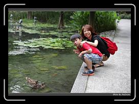 IMG_9322 * 900 x 644 * (287KB)