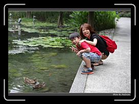 IMG_9323 * 900 x 644 * (291KB)