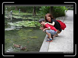 IMG_9324 * 900 x 644 * (291KB)