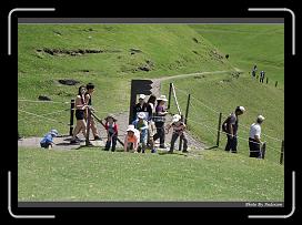IMG_0514 * 900 x 644 * (297KB)