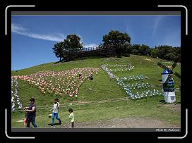 IMG_0521 * 900 x 644 * (296KB)