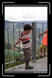 IMG_0561 * 600 x 966 * (297KB)