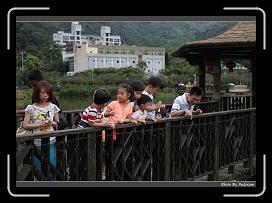 IMG_0576 * 900 x 644 * (291KB)