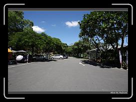 IMG_0609 * 900 x 644 * (297KB)