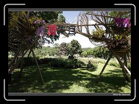 IMG_0612 * 900 x 644 * (292KB)