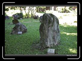 IMG_0618 * 900 x 644 * (298KB)