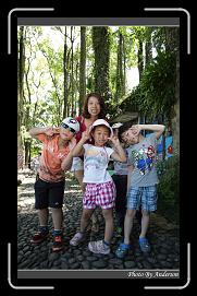 IMG_0624 * 600 x 966 * (298KB)
