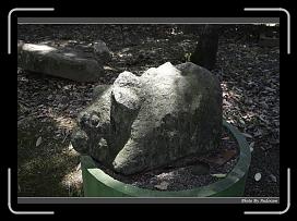 IMG_0627 * 900 x 644 * (283KB)