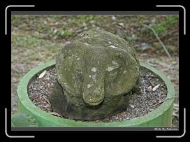 IMG_0628 * 900 x 644 * (281KB)