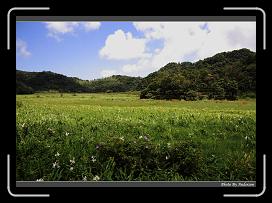 IMG_1339 * 900 x 644 * (288KB)