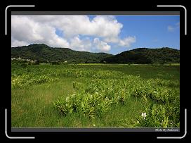 IMG_1342 * 900 x 644 * (290KB)