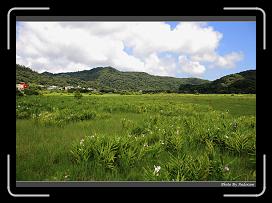 IMG_1343 * 900 x 644 * (299KB)