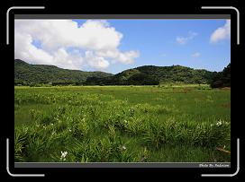 IMG_1344 * 900 x 644 * (285KB)