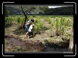 IMG_1357 * 900 x 644 * (299KB)