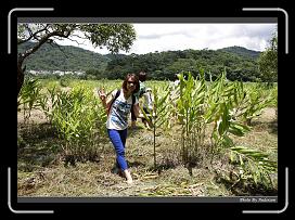 IMG_1369 * 900 x 644 * (292KB)