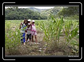 IMG_1371 * 900 x 644 * (297KB)