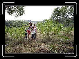 IMG_1372 * 900 x 644 * (294KB)