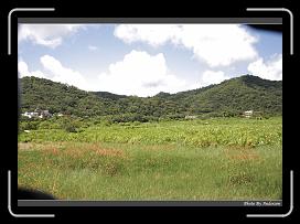 IMG_1387 * 900 x 644 * (283KB)