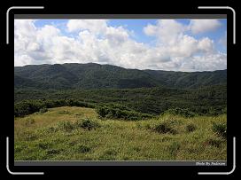 IMG_1442 * 900 x 644 * (298KB)