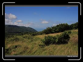 IMG_1444 * 900 x 644 * (294KB)