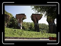IMG_1835 * 900 x 644 * (299KB)