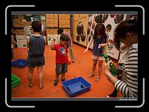IMG_1861 * 900 x 644 * (298KB)