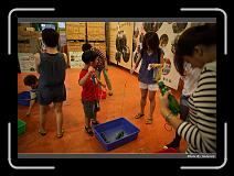 IMG_1862 * 900 x 644 * (278KB)
