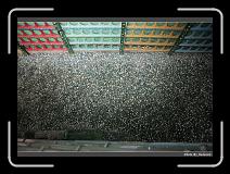 IMG_1868 * 900 x 644 * (292KB)