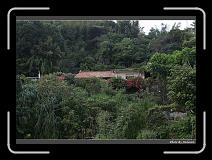 IMG_1887 * 900 x 644 * (293KB)