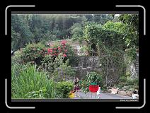 IMG_1888 * 900 x 644 * (297KB)