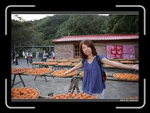 IMG_1904 * 900 x 644 * (285KB)