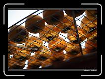 IMG_1912 * 900 x 644 * (267KB)