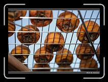 IMG_1913 * 900 x 644 * (267KB)