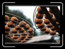 IMG_1928 * 900 x 644 * (272KB)