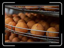 IMG_1932 * 900 x 644 * (269KB)