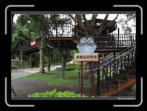 IMG_1952 * 900 x 644 * (294KB)