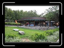 IMG_1955 * 900 x 644 * (297KB)