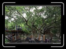 IMG_1960 * 900 x 644 * (297KB)