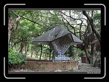 IMG_1966 * 900 x 644 * (295KB)